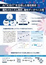 flyer_kibit_forWeb_250627