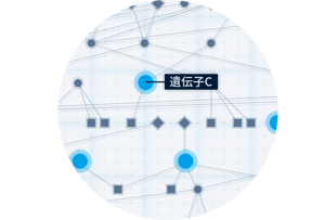 遺伝子ネットワーク