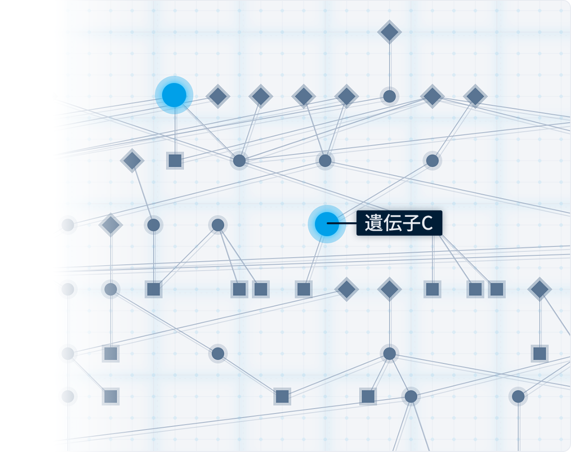 map_ex2
