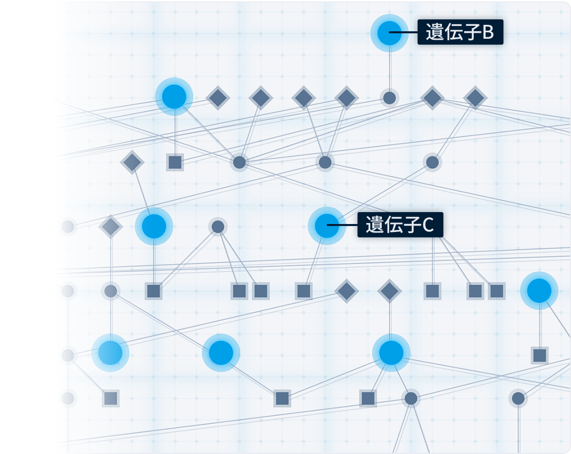 例：疾患Aの遺伝子ネットワーク